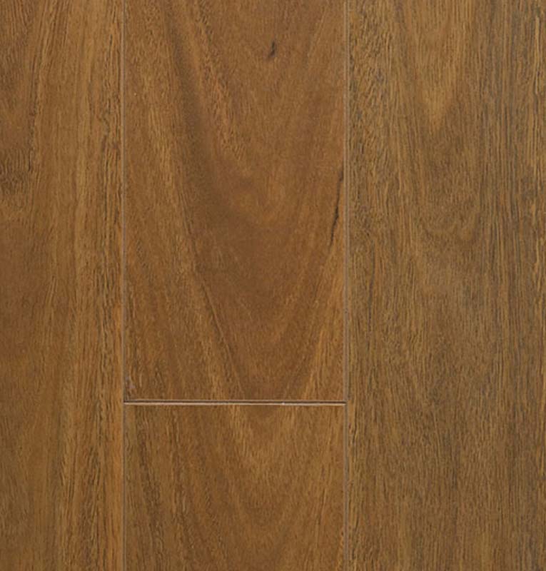 Classic Spotted Gum